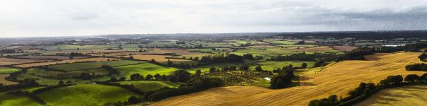 Vereinigte Hagelversicherung VVaG cover image