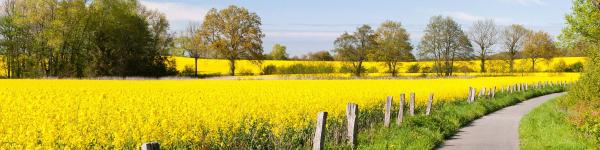 GS Die Genossenschaft eG cover image