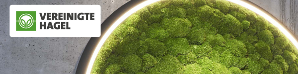 Vereinigte Hagelversicherung VVaG cover image