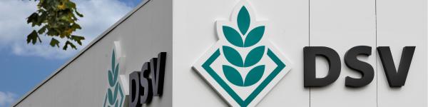 Deutsche Saatveredelung AG cover image