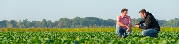 Raiffeisen Weser-Elbe eG Raiffeisen Weser-Elbe eG cover image