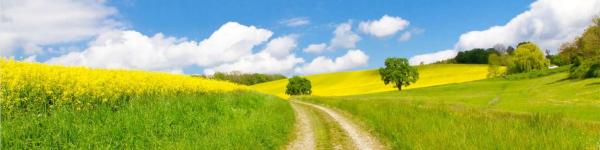 Raiffeisen Warenhandel GmbH &amp; Co. KG - Raiffeisen Halle cover image