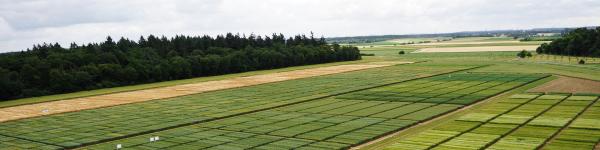 Hauptsaaten Seed &amp; Service GmbH cover image