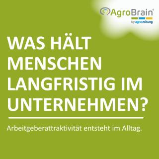Was hält Menschen langfristig im Unternehmen?