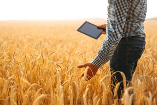 Vom Juristen zum Agrarmanager: Quereinsteiger in der Landwirtschaft Vom Juristen zum Agrarmanager: Quereinsteiger in der Landwirtschaft