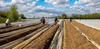 Saisonkräfte aus der Ukraine