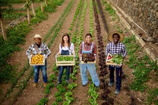 Wie gelingt Integration in der Landwirtschaft? Wie gelingt Integration in der Landwirtschaft?