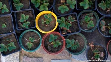 Vom Gewächshaus ins Büro