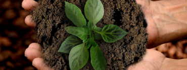 Die Zukunft der Landwirtschaft Die Zukunft der Landwirtschaft