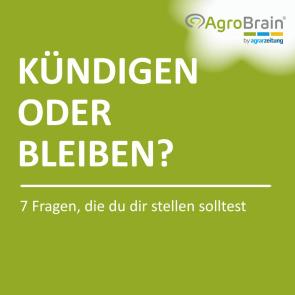 Kündigen oder bleiben?