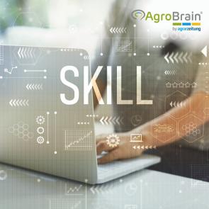 Warum gute Fachkräfte nicht wechseln, obwohl sie könnten.