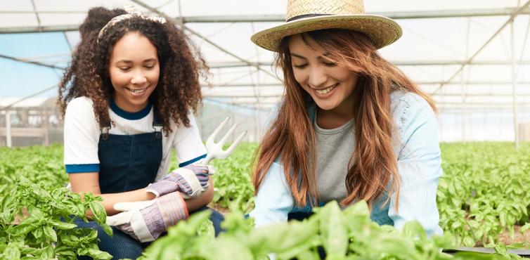 Dem Ausbildungsabbruch im Agrarbusiness vorbeugen Dem Ausbildungsabbruch im Agrarbusiness vorbeugen