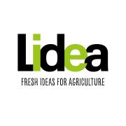 Lidea Seeds