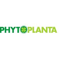 PHYTOPLANTA GmbH logo image